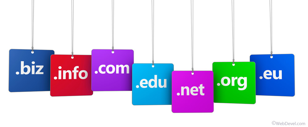 Domain & Hosting